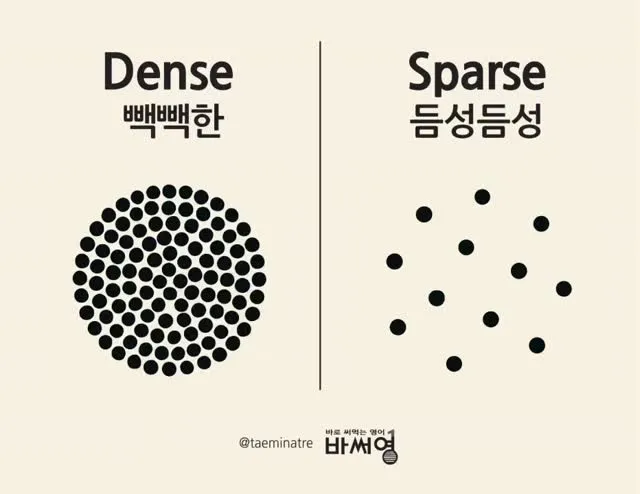 Dense(빽빽한)와 Sparse(듬성듬성) 카드